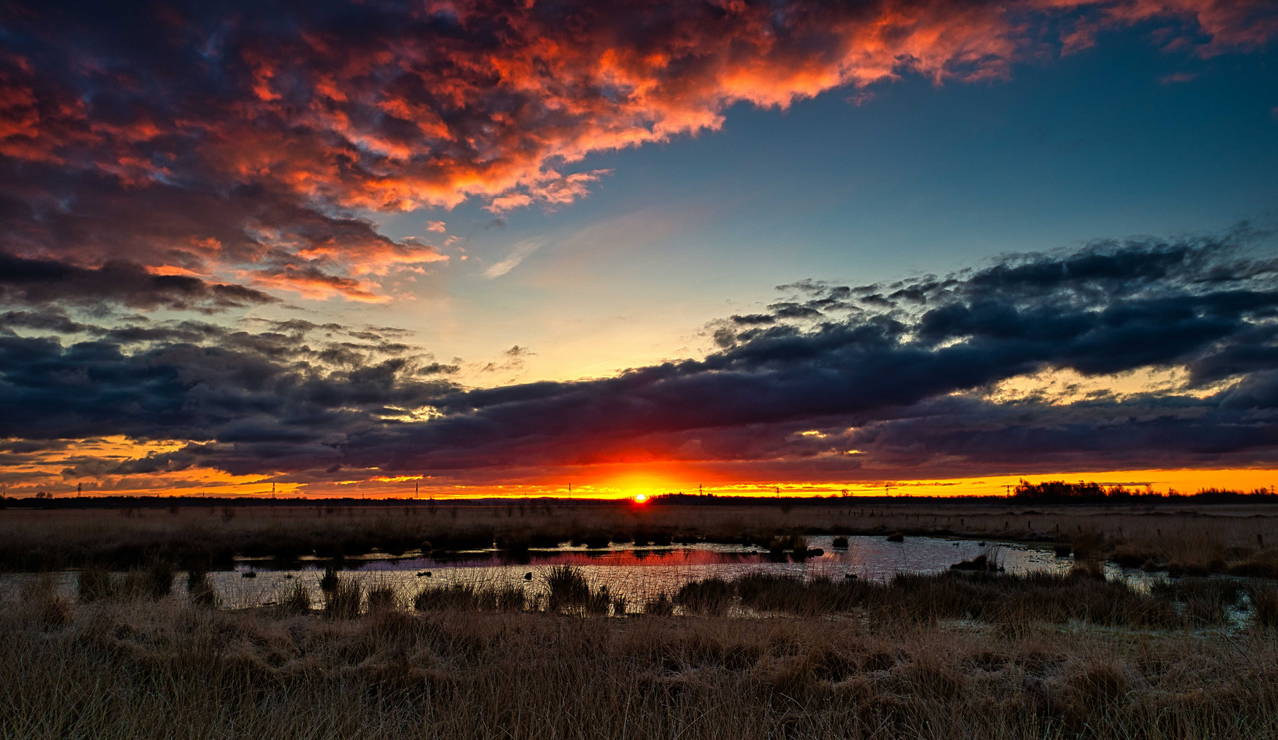 Sonnenaufgang im Moor