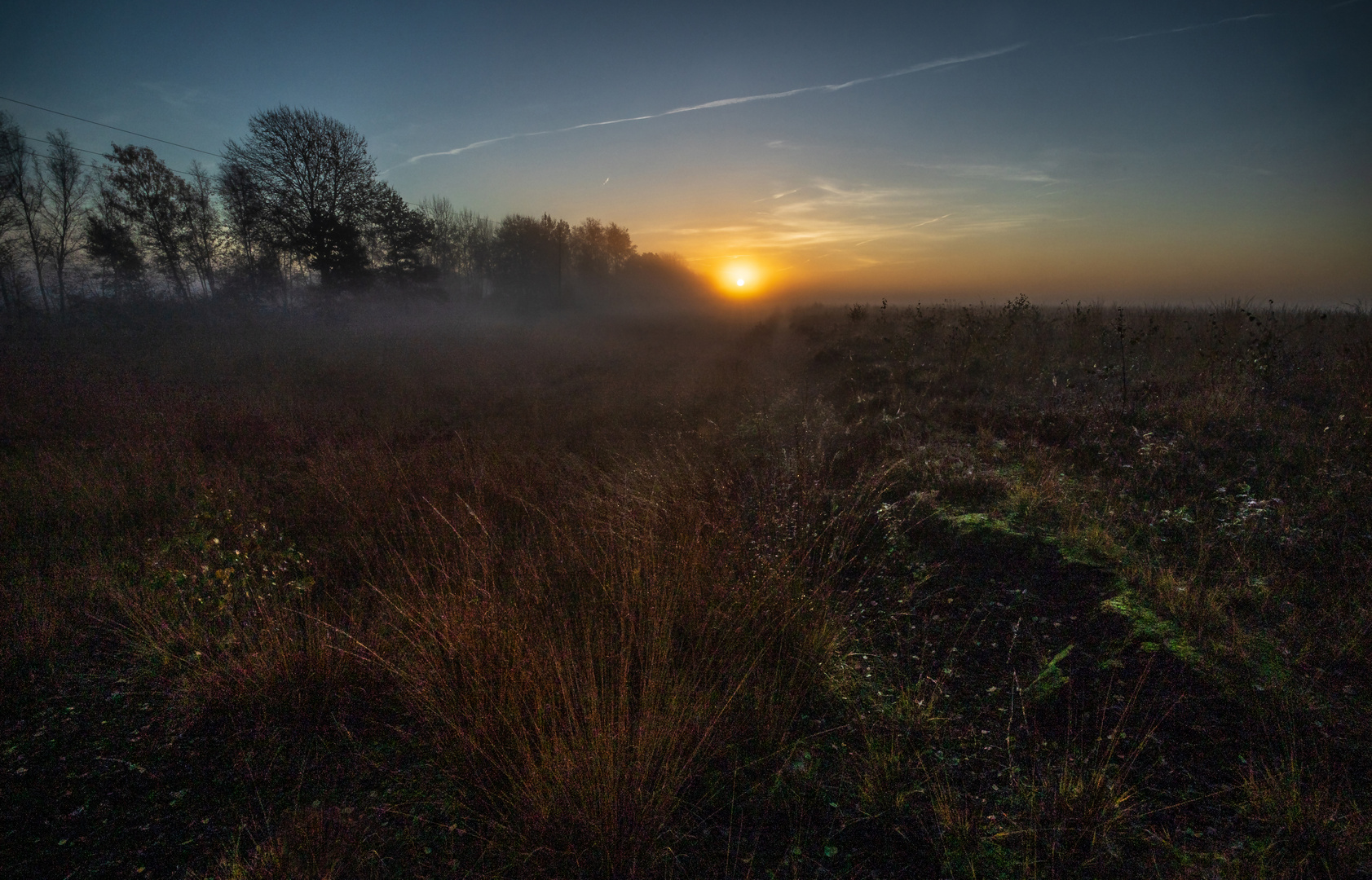 Sonnenaufgang im Moor 