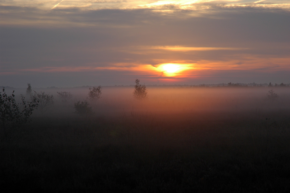 Sonnenaufgang im Moor