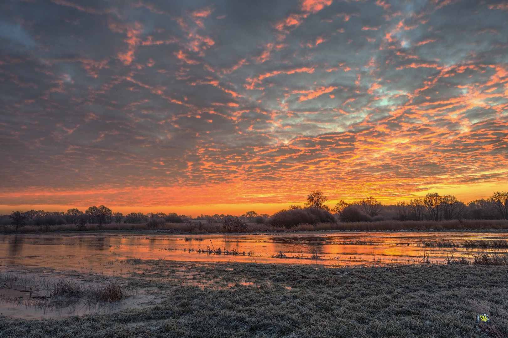 Sonnenaufgang im Moor