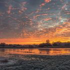 Sonnenaufgang im Moor