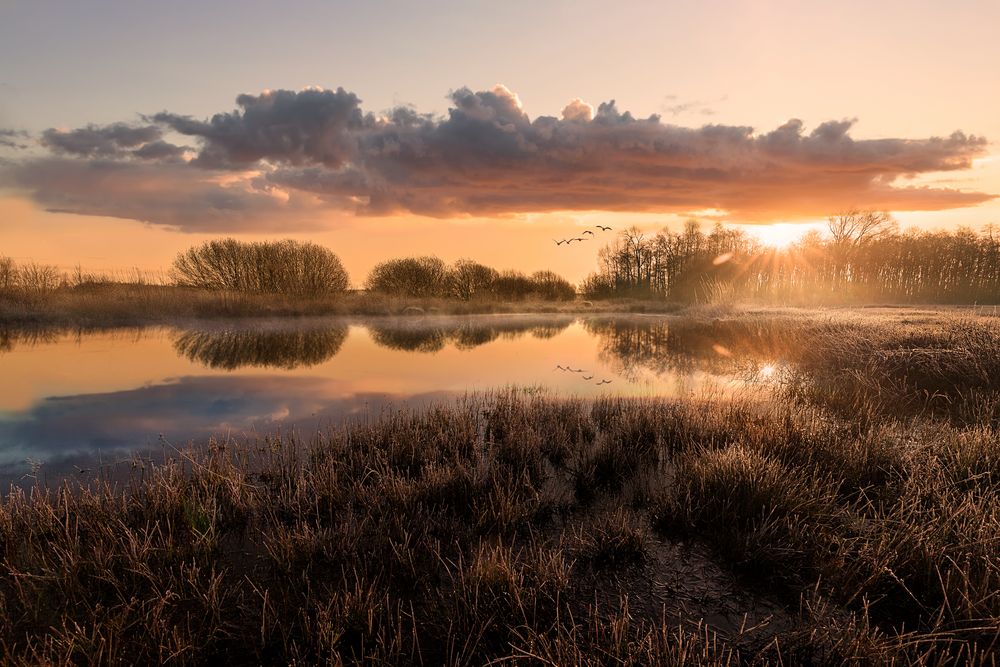 Sonnenaufgang im Moor