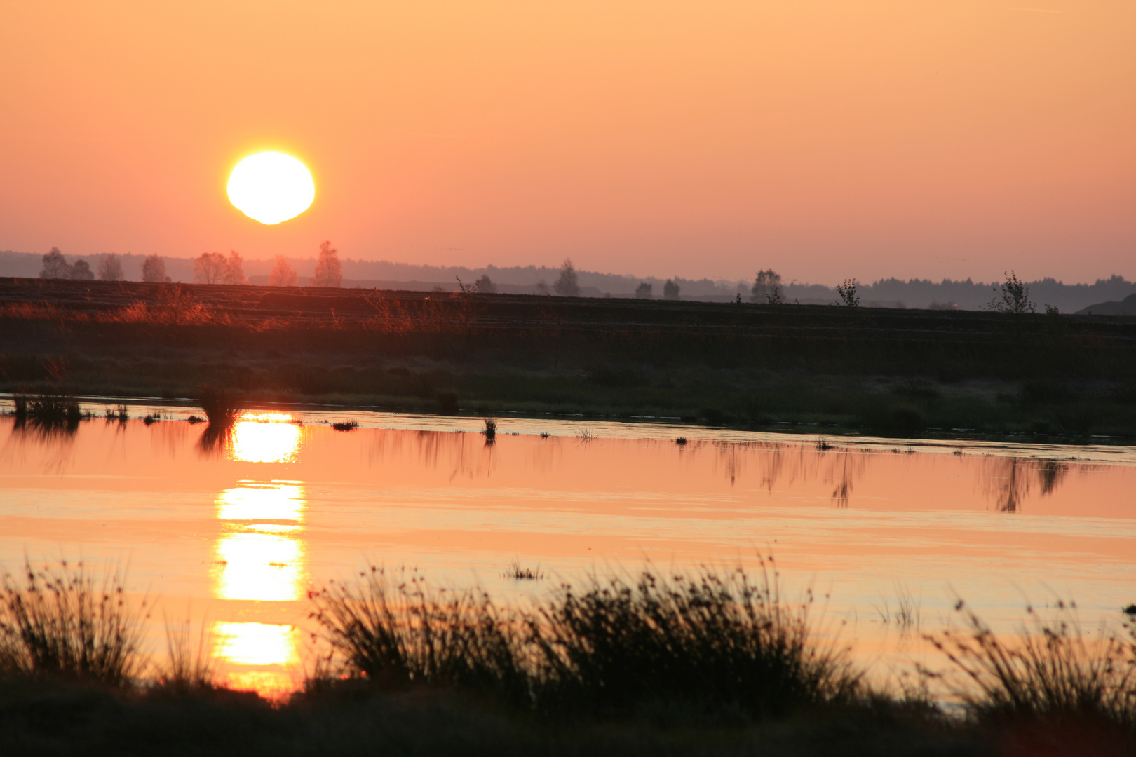 Sonnenaufgang im Moor