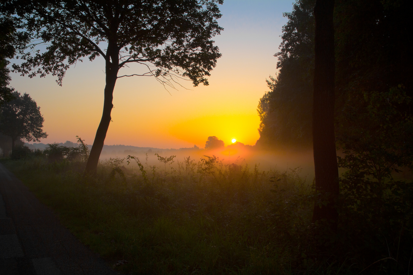 Sonnenaufgang im Moor