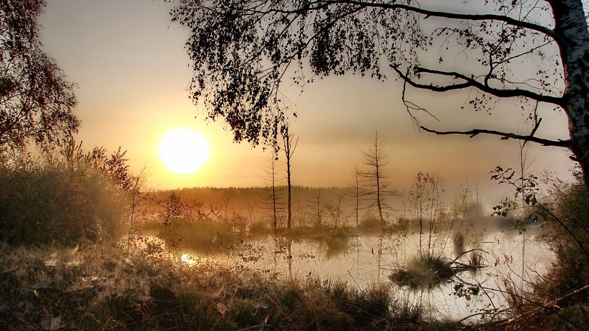 Sonnenaufgang im Moor