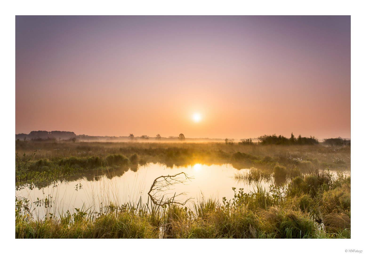 Sonnenaufgang im Moor