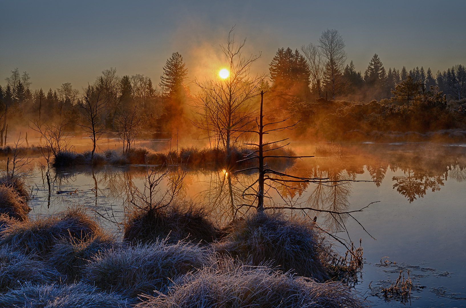 Sonnenaufgang im Moor