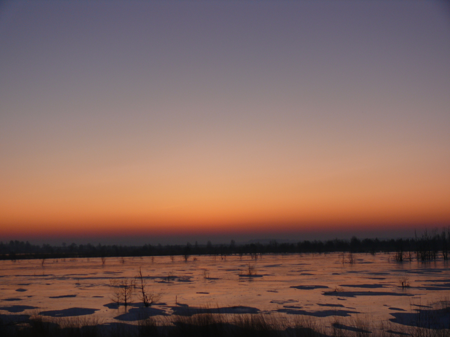 Sonnenaufgang im Moor I