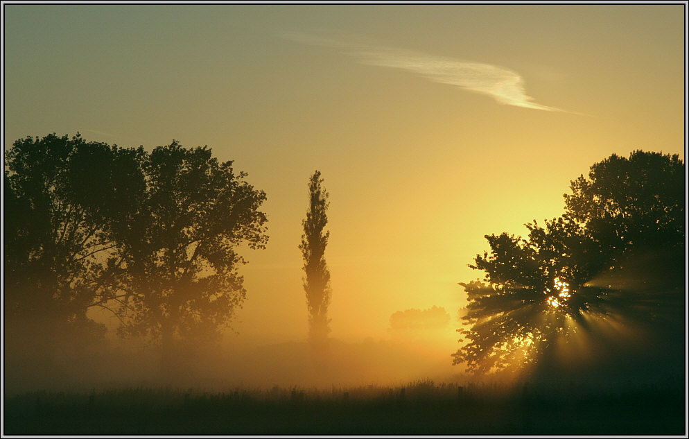 Sonnenaufgang im Moor - Sunup in the swamp