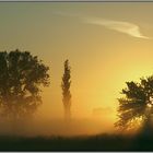 Sonnenaufgang im Moor - Sunup in the swamp