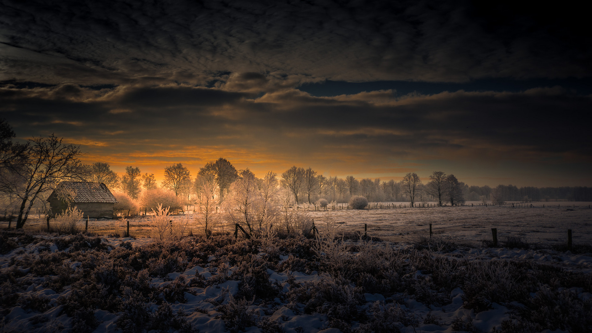 Sonnenaufgang im Moor (Winter 2017/18)