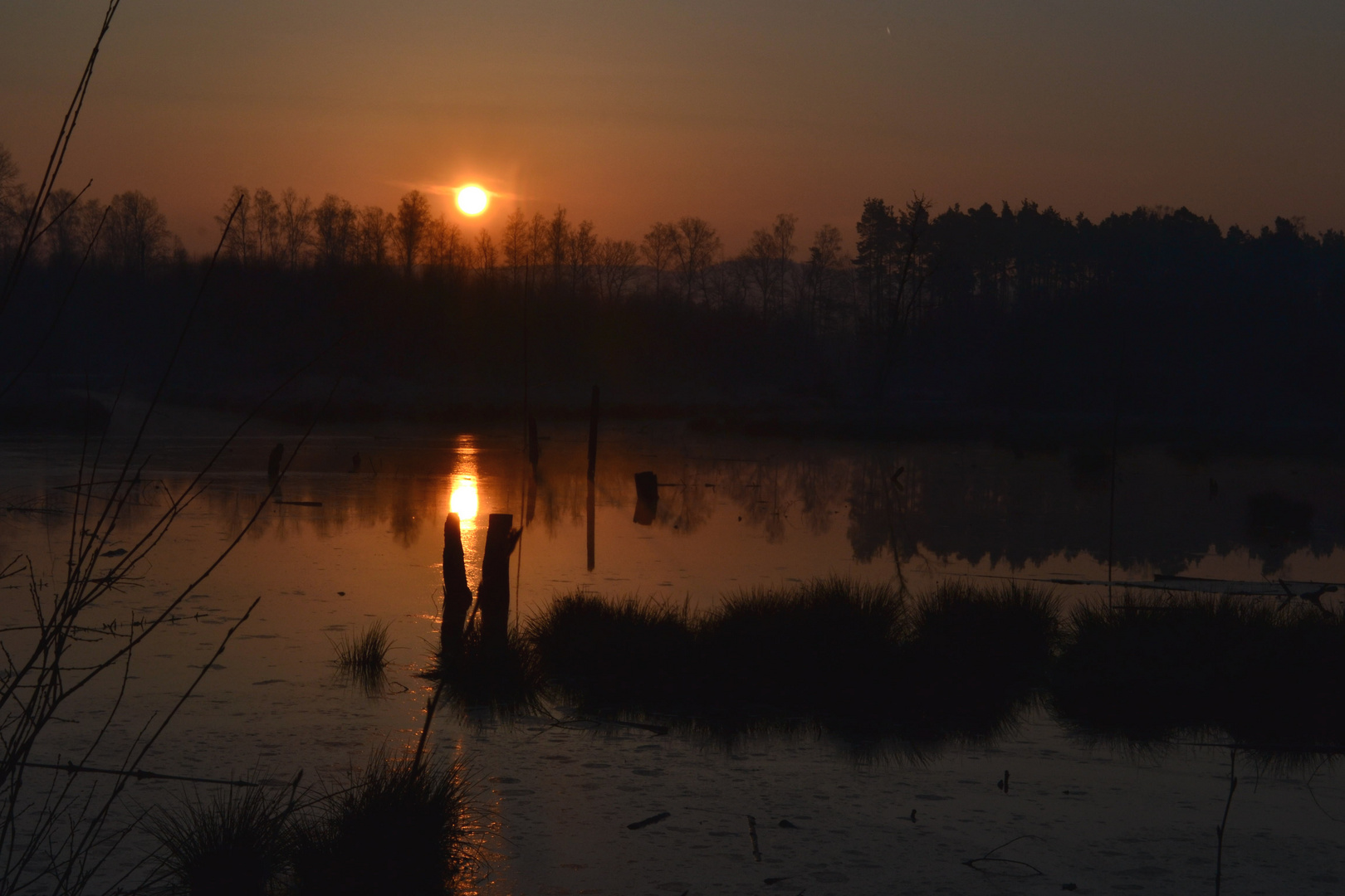 Sonnenaufgang im Moorgebiet - 20. März 2015