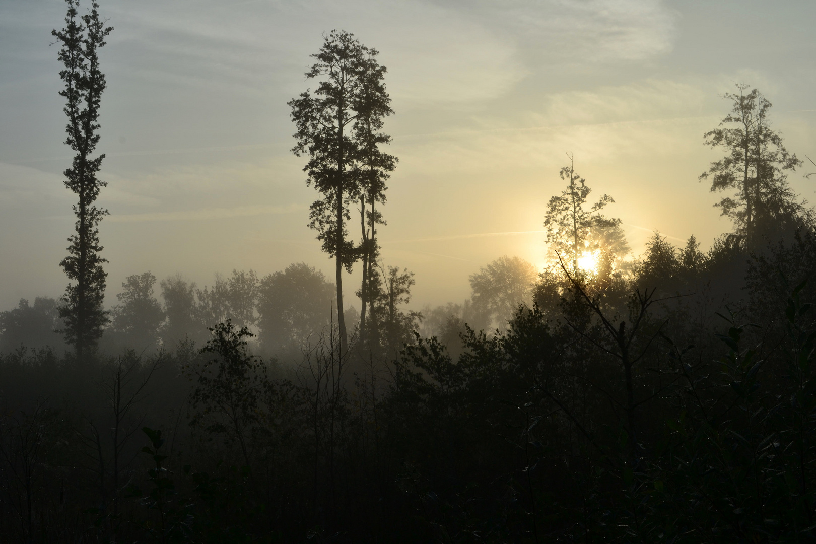 Sonnenaufgang im Moorgebiet - 26. September 2015