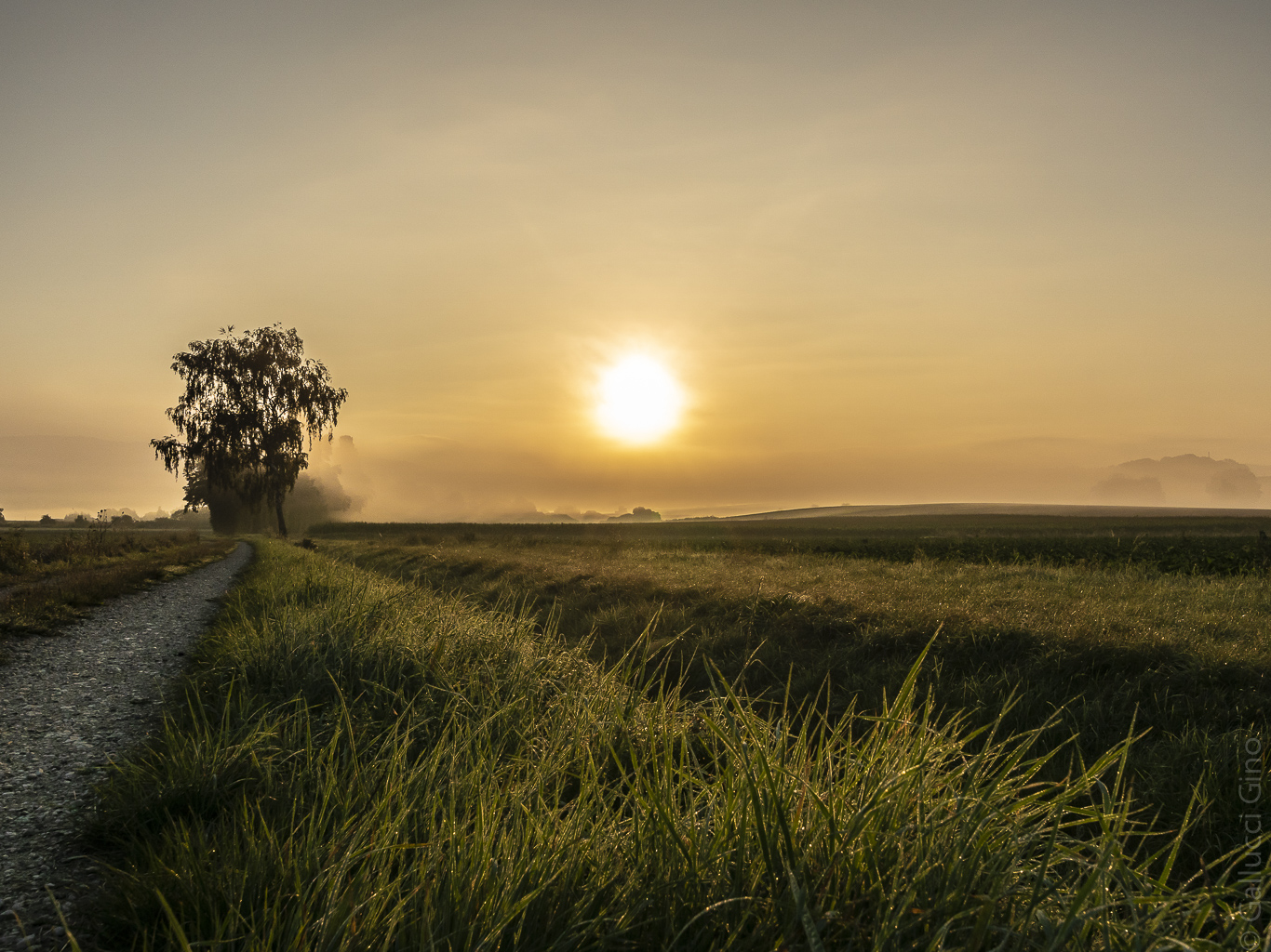 Sonnenaufgang im Morgendunst