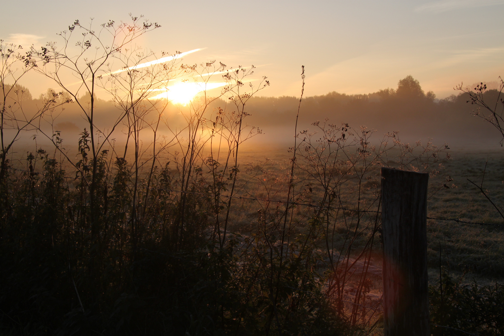 Sonnenaufgang im Morgendunst