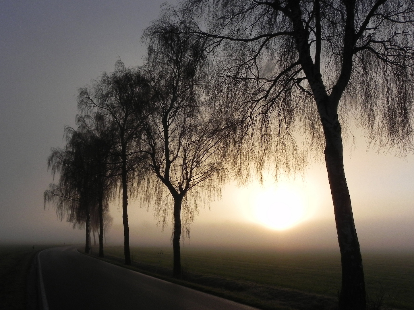  "Sonnenaufgang" im Morgennebel