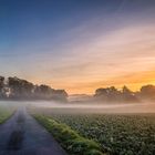 Sonnenaufgang im Morgennebel 