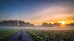 Sonnenaufgang im Morgennebel 