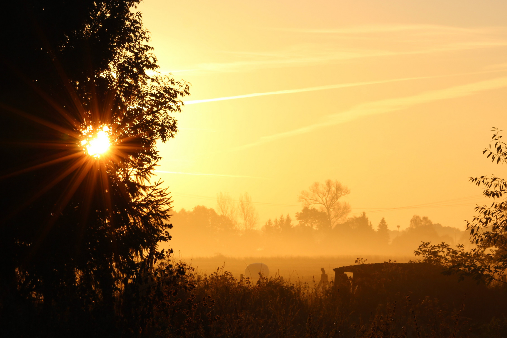 Sonnenaufgang im Morgennebel