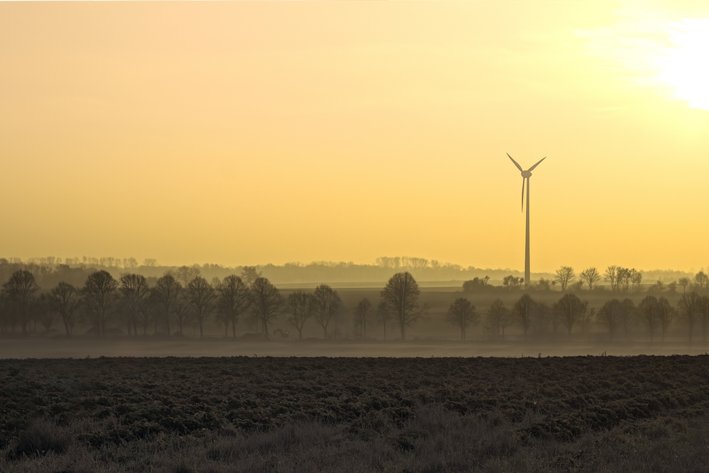 Sonnenaufgang im Morgennebel