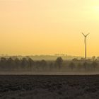 Sonnenaufgang im Morgennebel