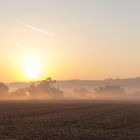 Sonnenaufgang im Morgennebel