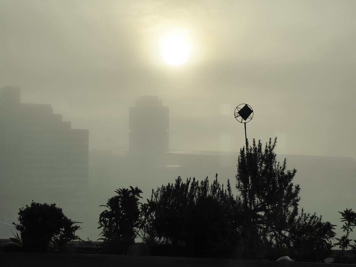 Sonnenaufgang im Morgennebel...