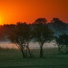 Sonnenaufgang im Morgennebel