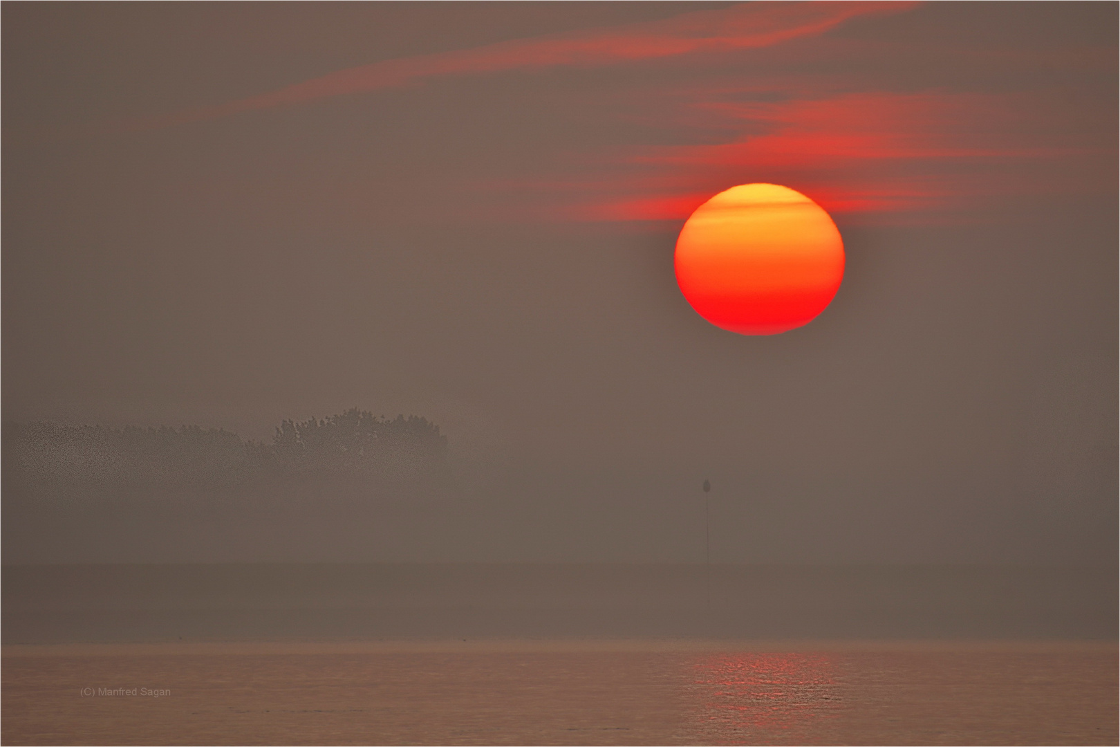 Sonnenaufgang im Morgennebel an der Elbe im Alten Land...