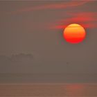 Sonnenaufgang im Morgennebel an der Elbe im Alten Land...