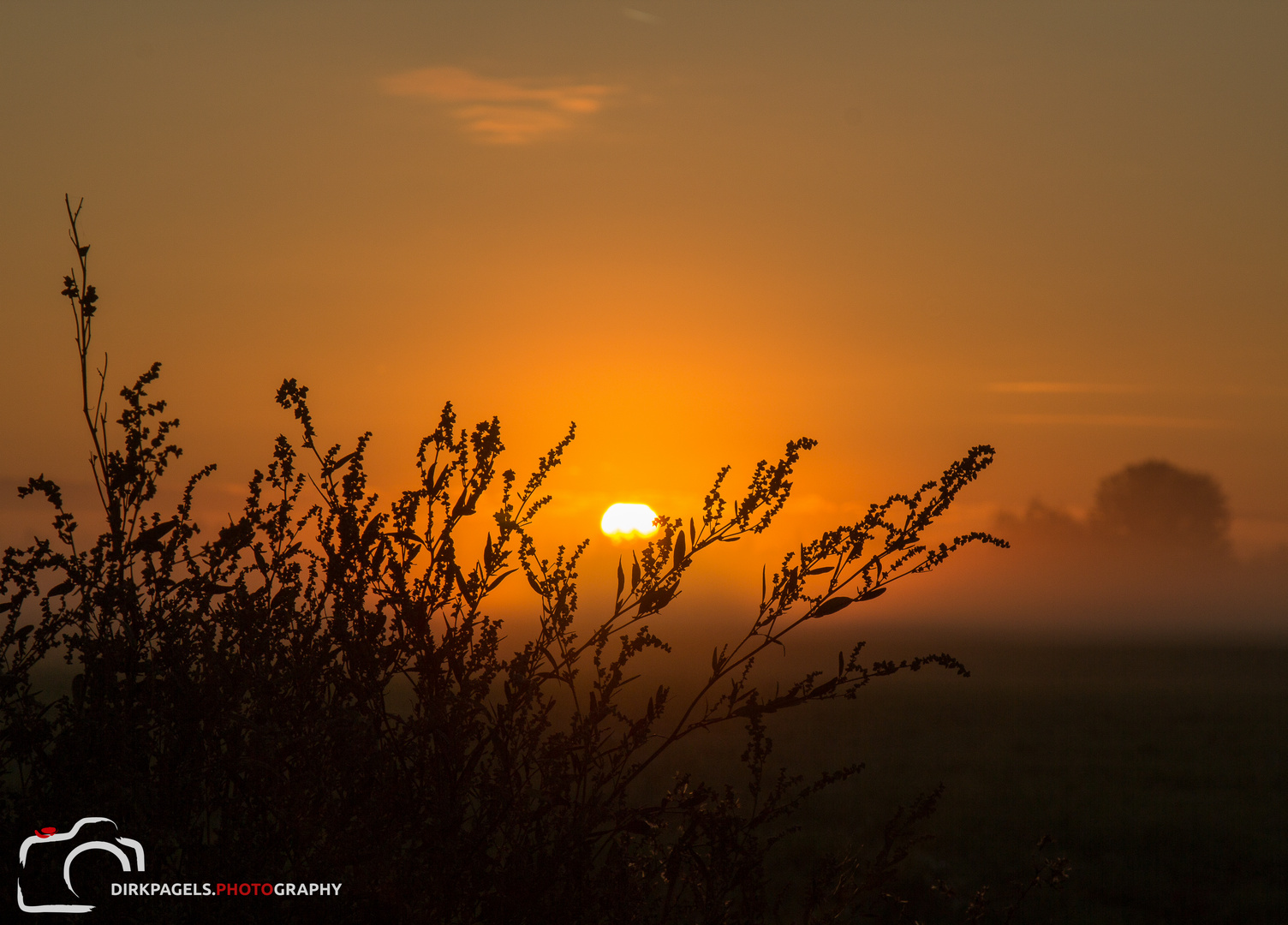 Sonnenaufgang im Morgennebel