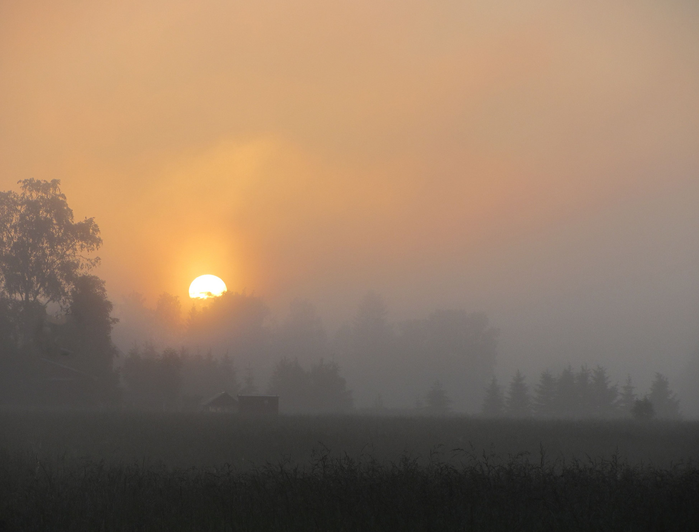 Sonnenaufgang im Morgennebel bei Vänersborg