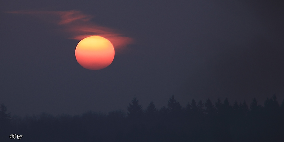 Sonnenaufgang im Morgennebel!