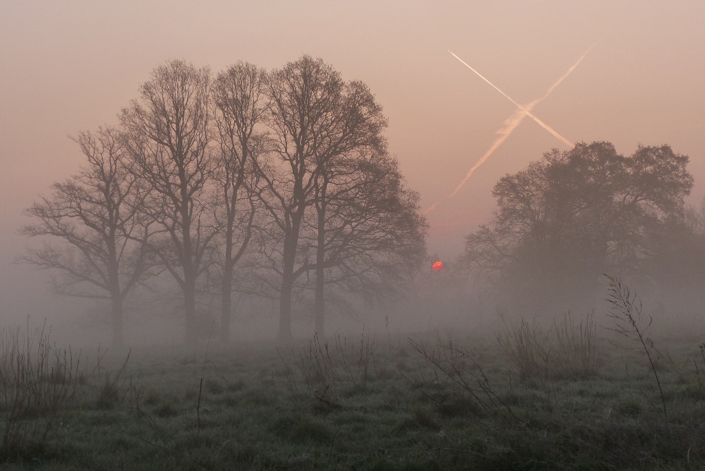 Sonnenaufgang im Morgennebel in der Hammer Lippeaue