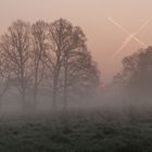 Sonnenaufgang im Morgennebel in der Hammer Lippeaue