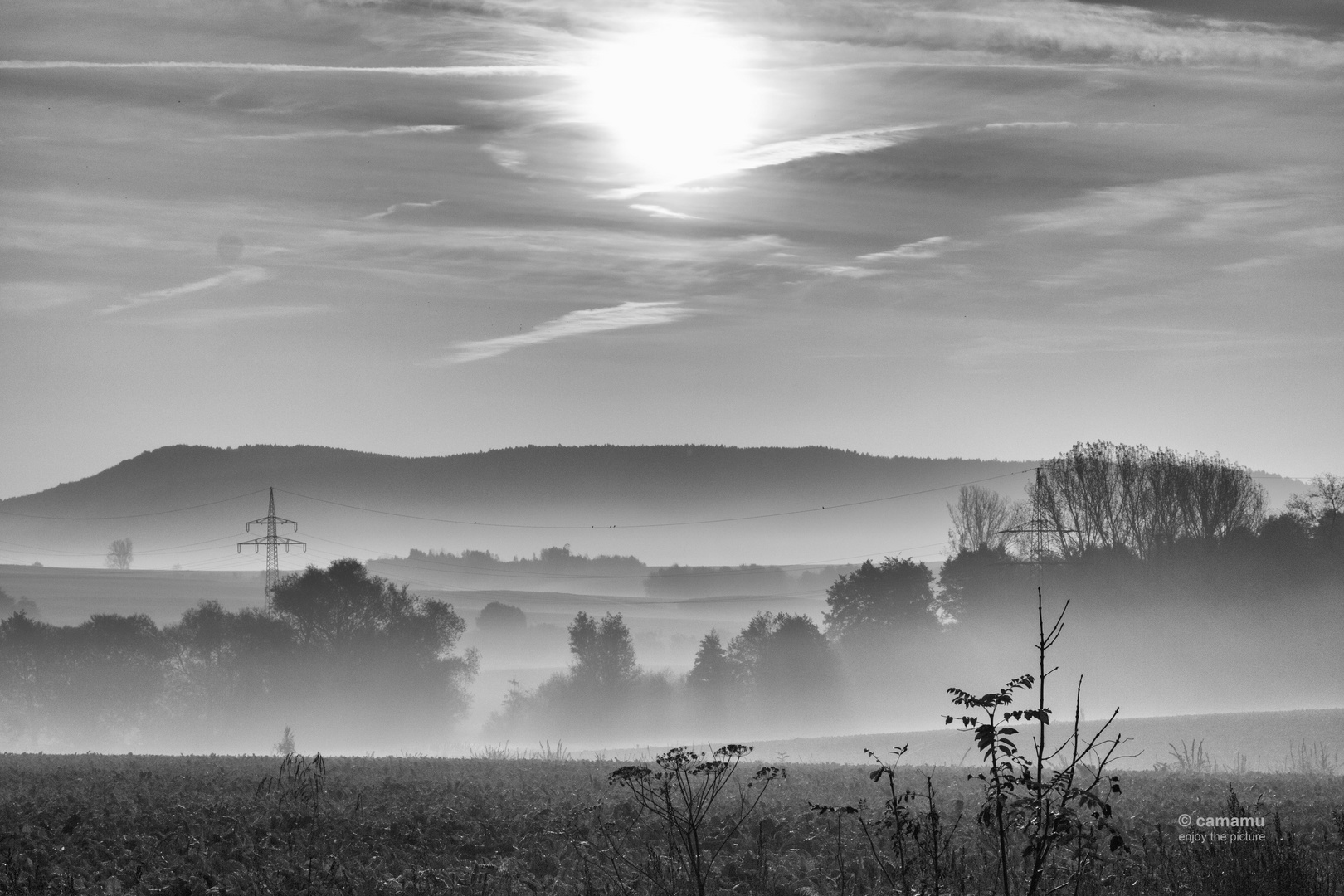 Sonnenaufgang im Morgennebel in sw