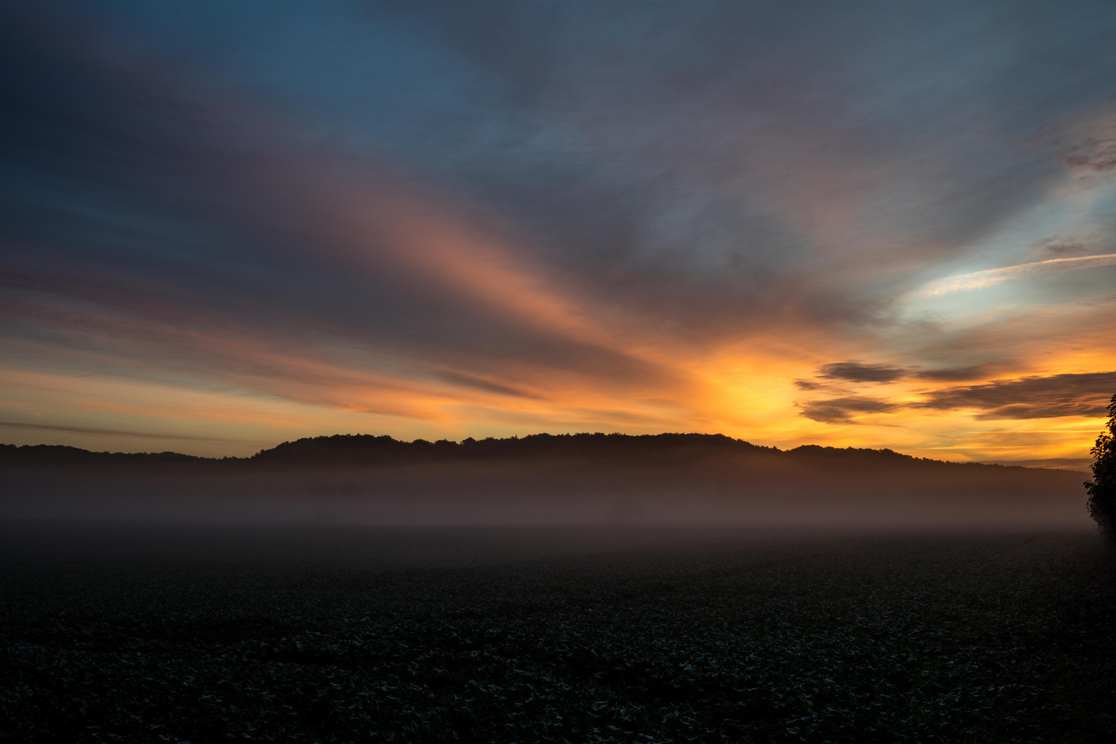 Sonnenaufgang im Morgentau