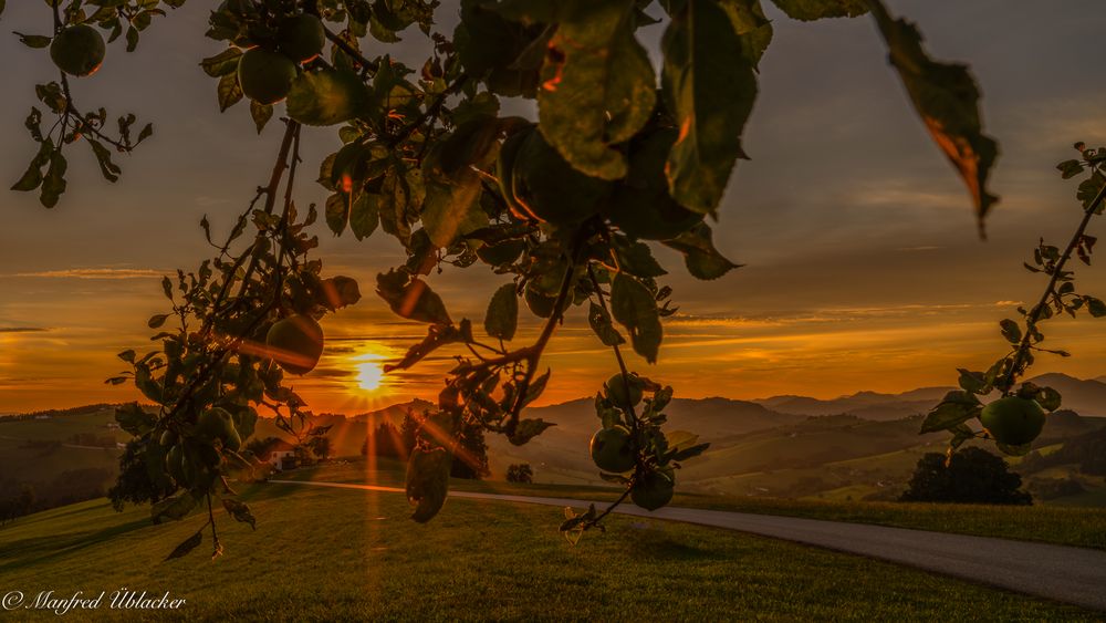 Sonnenaufgang im Mostviertl ...