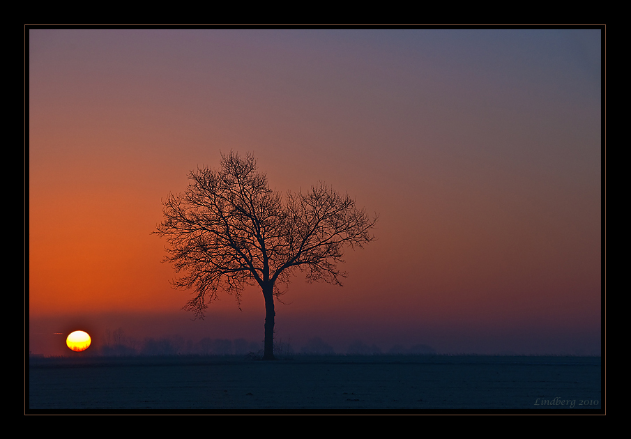 Sonnenaufgang im Münsterland 1