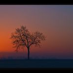 Sonnenaufgang im Münsterland 1