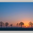 Sonnenaufgang im Münsterland 2