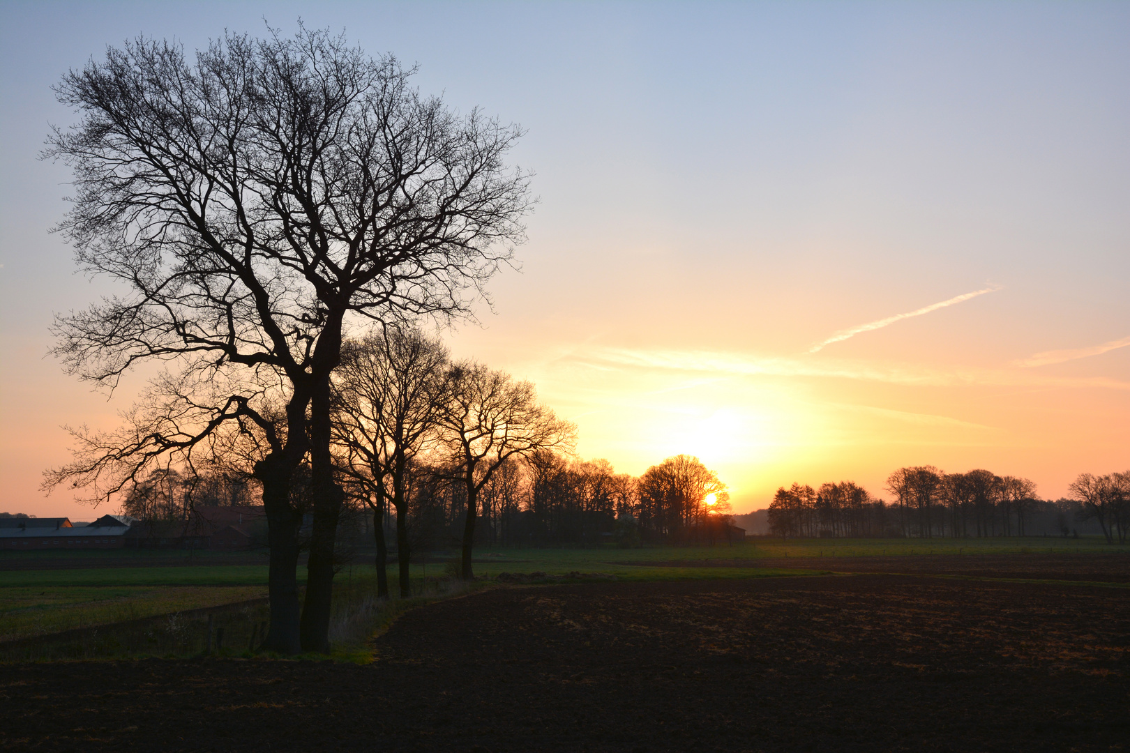 Sonnenaufgang im Münsterland