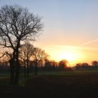 Sonnenaufgang im Münsterland