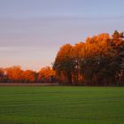 Sonnenaufgang im Münsterland