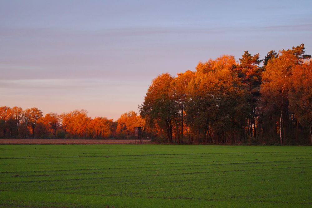 Sonnenaufgang im Münsterland von Uli Rike 