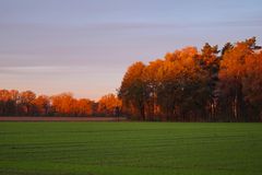 Sonnenaufgang im Münsterland