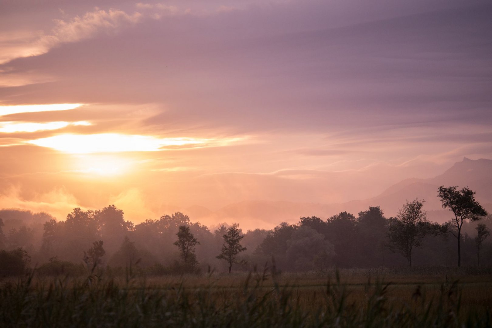 Sonnenaufgang im Murnauer Moos