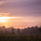 Sonnenaufgang im Murnauer Moos