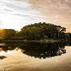 Sonnenaufgang im Nationalpark Donau-Auen