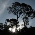 Sonnenaufgang im Nationalpark Pangsidar